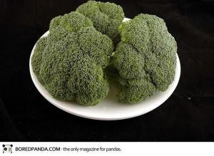 brocoli